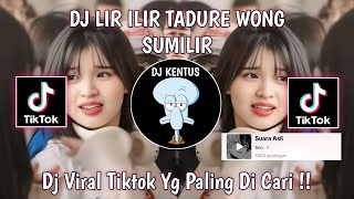 DJ LIR ILIR TADURE WONG SUMILIR  DJ VIRAL TIKTOK YANG KALIYAN CARI [upl. by Ive]