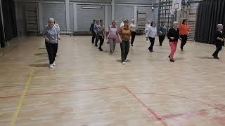 FUNLINEDANCE met Conny Cornelis  EVERYBODY S FREE Gevorderden Moerbeke 112024 [upl. by Anaela]