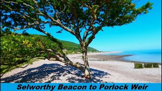 Coast Path Walk 2 Selworthy Beacon to Porlock Weir [upl. by Repip]