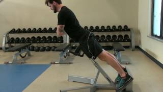 Erector Spinae Workout Prevent Erector Spinae Pain Strain and Injury [upl. by Ailes]