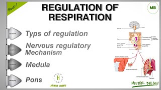 Regulation of respiration  nervous regulation Part1  msc 2nd sem hindi notes [upl. by Harad]