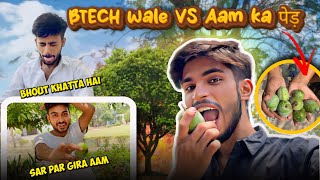 BTECH wale VS Aam ka ped 🌲  NITRA TECHNICAL CAMPUS GHAZIABAD  vlogs [upl. by Bondie]