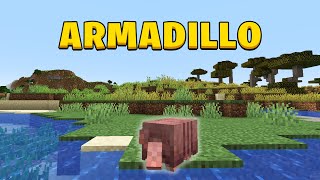 where to find a armadillo in Minecraft 121 [upl. by Fong612]