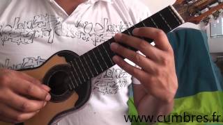 El Puelche en charango Tutorial [upl. by Betthel]