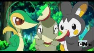 Snivy and Emolga AMV Too Cool [upl. by Nnaacissej]