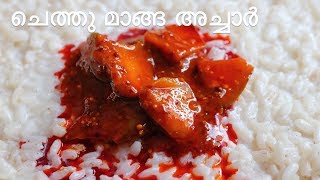 Chethu Manga Achar  Mango Pickle Kerala Style  ASMR Video [upl. by Azpurua]