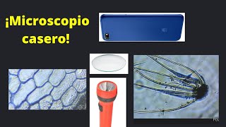 Microscopio casero Útil para ver microorganismosBest Microscope at home DIY [upl. by Joachima]