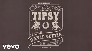 Shaboozey David Guetta  A Bar Song Tipsy Remix Official Visualizer [upl. by Shifra]