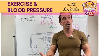 Exercise amp Blood Pressure [upl. by Nohsad]