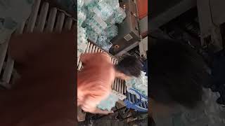 water bottle case loading conveyor [upl. by Rosanna]