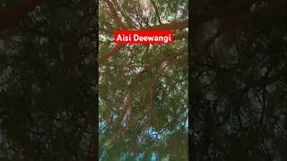 Aisi Deewangi ❤️❤️trending songviral comedy funny love youtuber [upl. by Adiazteb]