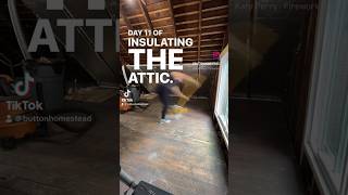 Day 11 of Insulating the Attic attic renovation insulating diy diyproject [upl. by Salomi384]