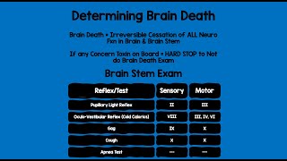 Determining Brain Death [upl. by Rina]