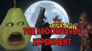 Pear Plays  The Brookhaven Experiment VR Horror Game [upl. by Eseekram]