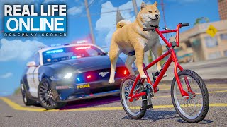 1 TAG ALS SHIBA INU 🐕  GTA 5 RP Real Life Online [upl. by Nnahgiel]