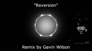 quotReversionquot by Myuu Gavin Wilson Remix [upl. by Rimidalv]