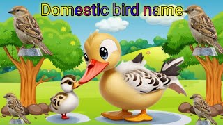 Domestic Birds ✓ Domestic Birds Name with Pictures ✓ 10 domestic Animals  toddlers [upl. by Aznerol]