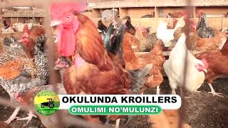 Okulunda enkoko kroillers part one [upl. by Lativa]