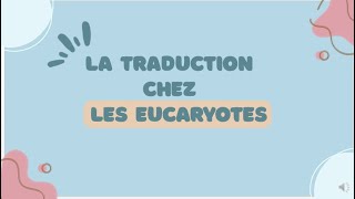 La traduction chez les eucaryotes [upl. by Earised]