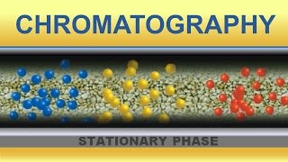 Chromatography Animation IQOGCSIC [upl. by Rennug]