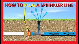 How to Locate and Cap or Plug an Underground Sprinkler Line  At the Head or Anywhere [upl. by Winstonn]