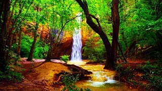 Relaxing Zen Music and Nature Sounds  Wooden Flute and Pan Flute  Meditation Sleep Sound [upl. by Nilrak]