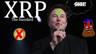 Ripple XRP NUCLEAR NEWS ELON MUSK CONFIRMED CONFIRMED CONFIRMED WE KNEW [upl. by Nevram]