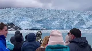 Seward Alaska Glacier Calving [upl. by Babbie494]