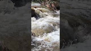 mini kayak dumped in the rapids at lesmurdie falls [upl. by Etneciv593]