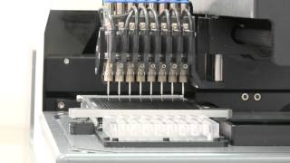 Meridian automated accurate liquid dispensing system [upl. by Kcirdderf145]