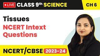 Tissues  NCERT Intext Questions  Class 9 Science Chapter 6 LIVE [upl. by Ferrell]