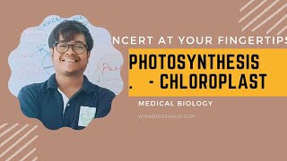 Neet Biology  The Chloroplast Evolution Saga [upl. by Naz]