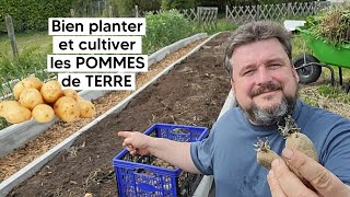 Comment bien planter et cultiver les POMMES de TERRE 🥔『TUTO』 [upl. by Ashlin]