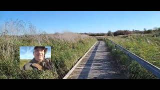 Rspb rainham marshes nature fix [upl. by Acirred]