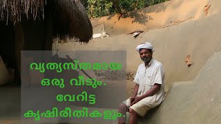 Documentary about Padma Shri Winner Cheruvayal Raman Wayanad  Guardian of The Native Paddy [upl. by Vivie492]