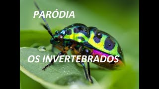 parodia invertebrados  proftanio [upl. by Ita]