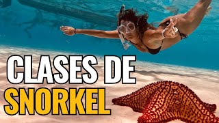 Snorkel para principiantes  CLASES DE SNORKEL Aprende a snorkelar en Cozumel  Tour de snorkel [upl. by Oigile740]