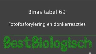 Binas tabel 69  Fotofosforylering en donkerreacties [upl. by Lampert]