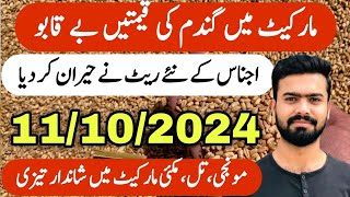 Wheat Rate Today in Pakistan  Munji Rates Til Makai Kapas Gandam Sarson Rate Today  Zaraat زراعت [upl. by Nnylaehs84]