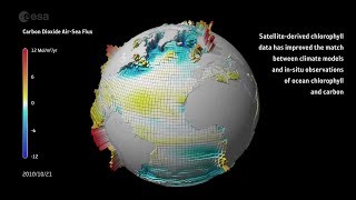 Carbon dioxide ocean–atmosphere exchange [upl. by Kcorb]