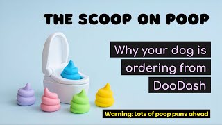 The Scoop on Poop Why Dogs Eat Poop Coprophagia [upl. by Ecilef]