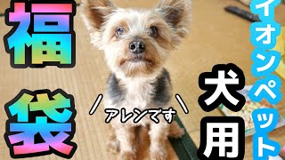 イオンペット「犬用福袋」でアレン大興奮！？ [upl. by Nella]