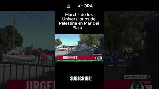 Universitarios Palestinos Marchando contra Milei🤣 MUY RIDÍCULOS [upl. by Avihs]