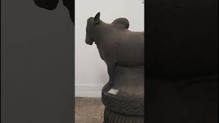 Kolkata museum  Indian Museum  Vlog [upl. by Ontina244]