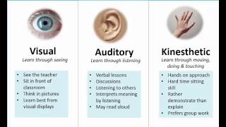 Learning Styles Preferences VAK [upl. by Reeve]