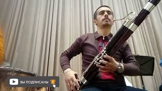 Mikhail Glinka Jota Aragonesa Bassoon solo fragments [upl. by Ahsenid]