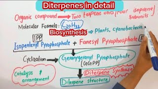 Diterpenes BiochemistryStructureBiosynthesisFunction biochemistry [upl. by Bidle]