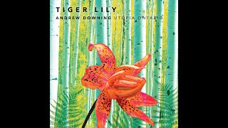 Andrew Downing and Utopia Ontario  Tiger Lily [upl. by Lynch]