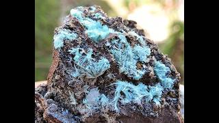 Aurichalcite and Calcite mineral specimen from the Lavrion mines in Greece [upl. by Milton182]