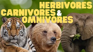 Herbivores Carnivores and Omnivores for Kids  Learn which animals eat plants meat or both [upl. by Ennaeirrac]